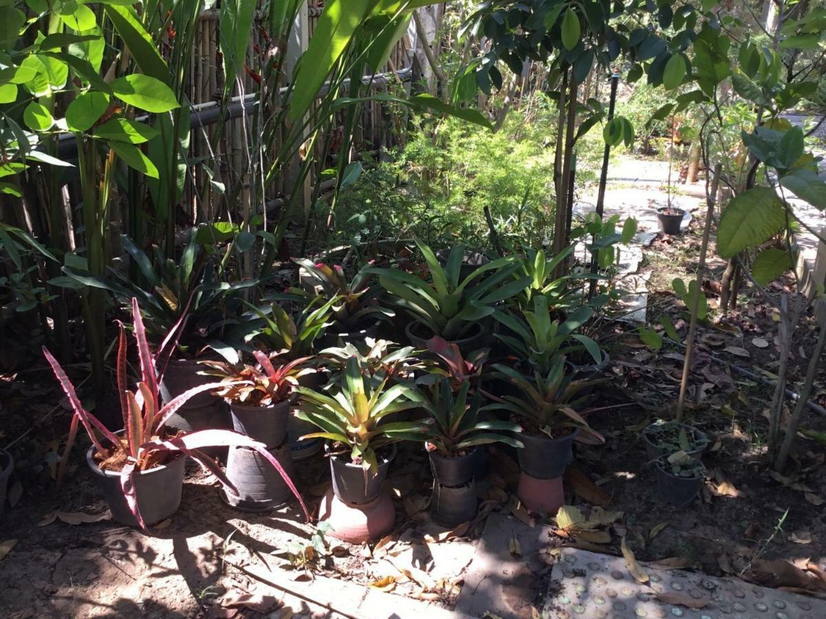 Rustic​ Charm​ Suphan​ Ban Tha Pong Exterior foto